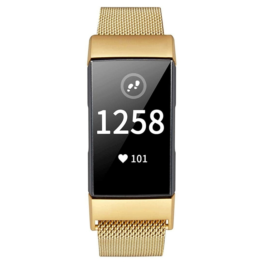 Fitbit charge 3/4 magnetic band